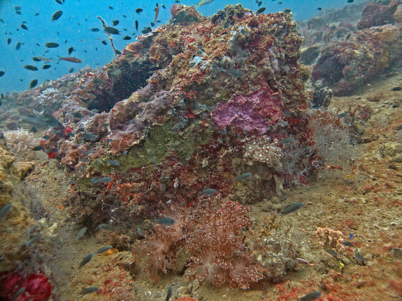 Wreck, Japanese Patrolboat